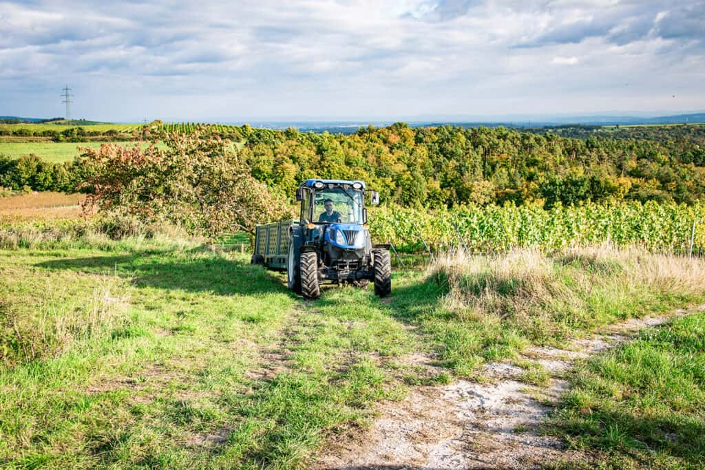 Traktor auf Weinberg bei Weingut Kittenberger in der Natur.